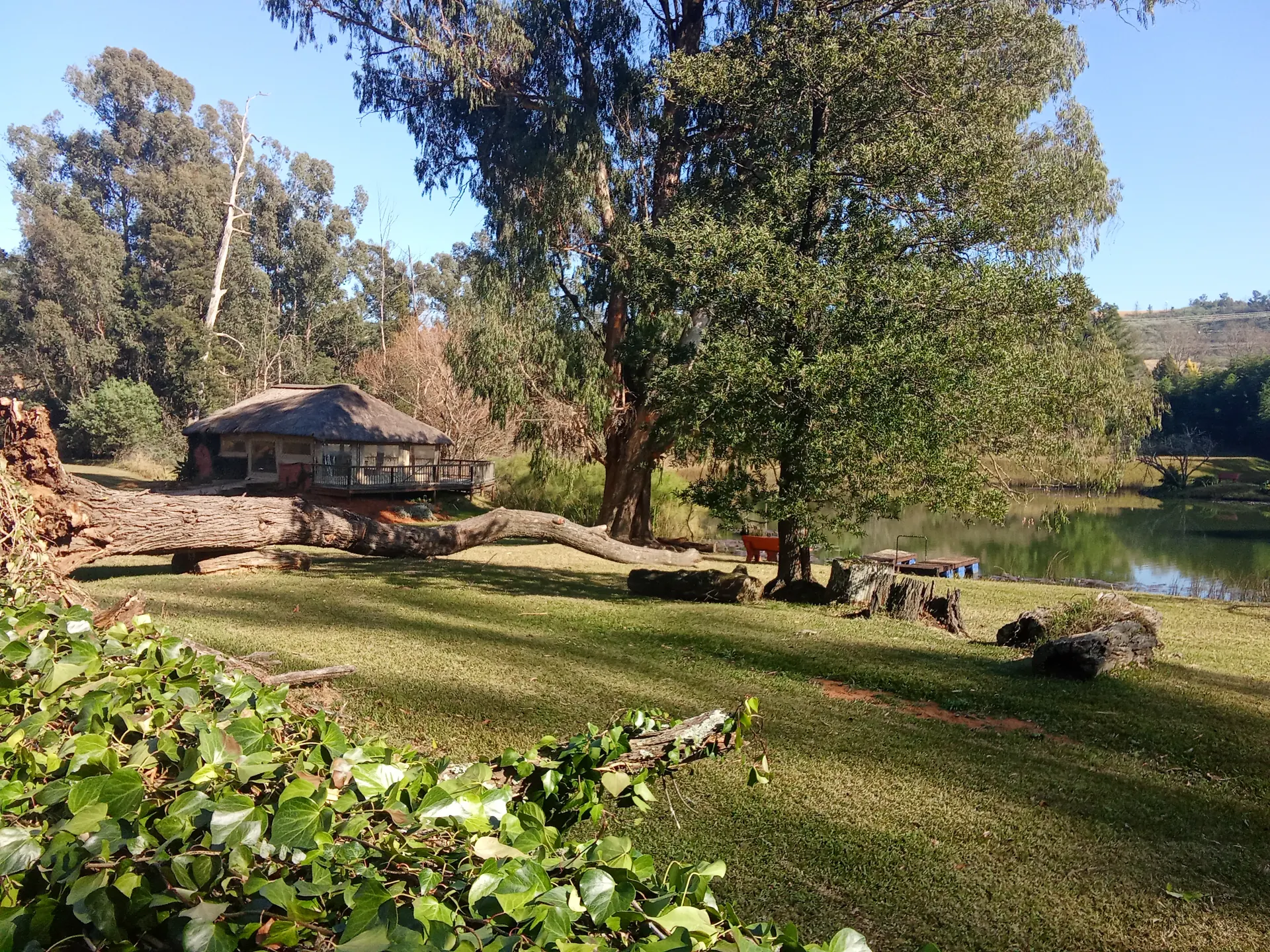 The lapa beside the dam