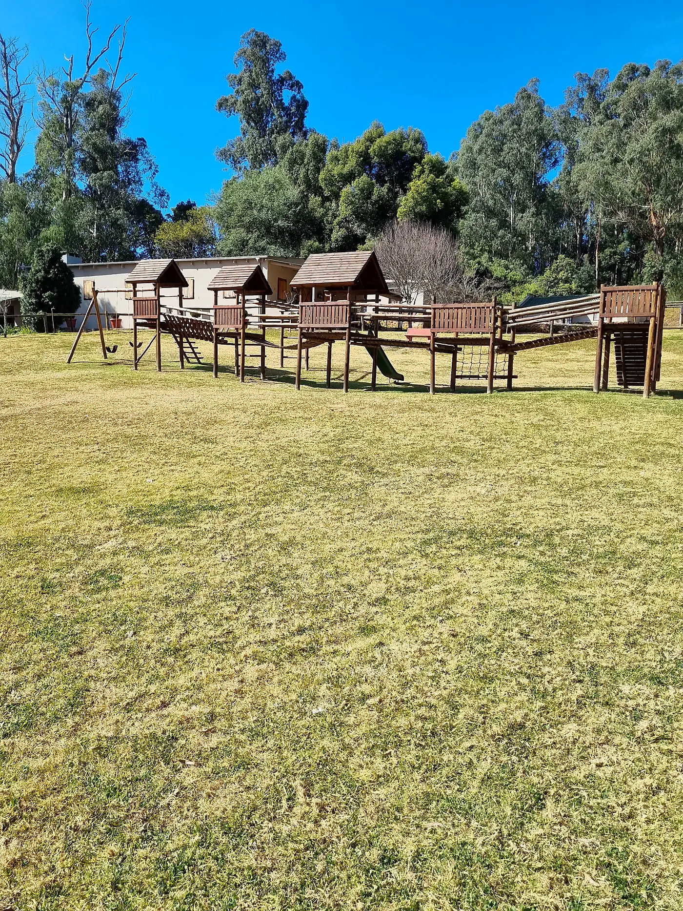 The wooden jungle gym on the lawn