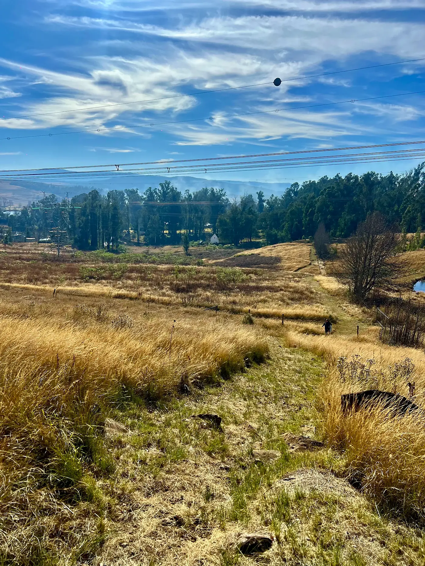 The walking trail through the grasslands